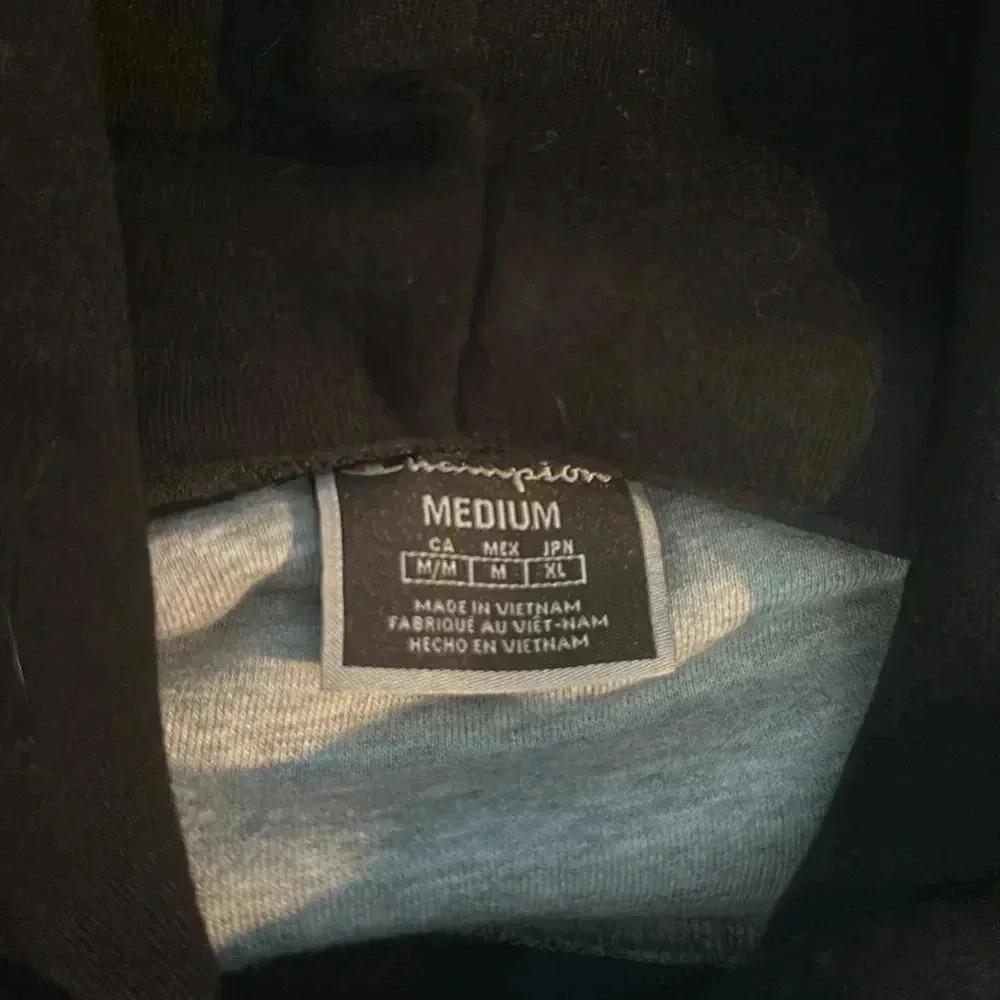 Champion 1919 men’s graphic hoodie - Picture 3 of 3
